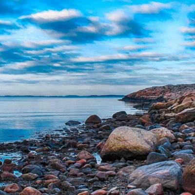 凤凰彩票下载中心