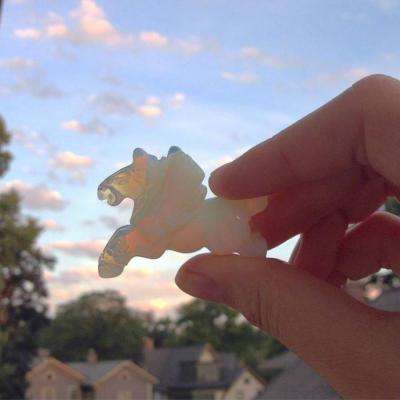 半岛网页版入口官网