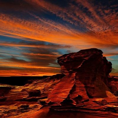 半岛bob综合登入下载手机版截图